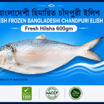 Fresh Hilsha Fish 600gm