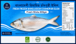 Fresh Hilsha Fish 600gm