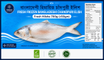 Fresh Hilsha Fish 700gm